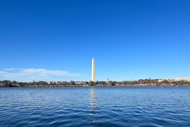 Washington DC Guided Tours and Private Airport Transfers photo 6