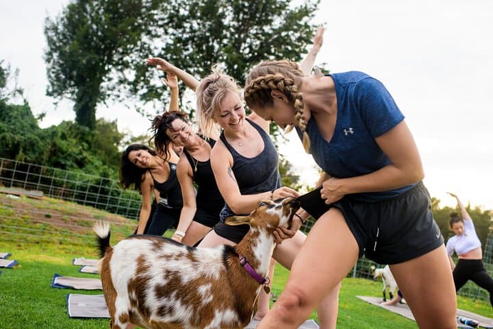 Sunset Goat Yoga with Live Music in Kula, Maui photo 3
