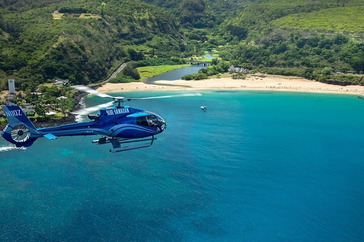 Aerial Discovery: North Shore Helicopter Tour Over Oahu's Legendary Breaks photo 3