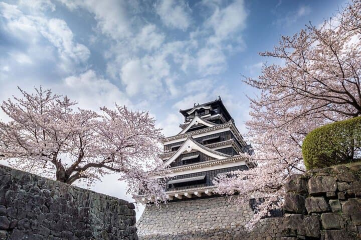 Kumamoto & Mount Aso Day Tour from Fukuoka via ASO Boy Train — Volcano, Castle & Kusasenri photo 4