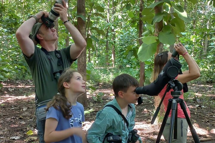 Carara National Park Guided Wildlife Walk: Scarlet Macaws & Rainforest Trails