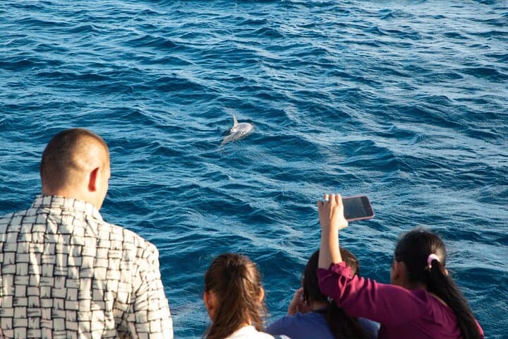 Guam Sunset Dinner Cruise: Dolphin Watching & BBQ Buffet on Apra Harbor photo 4