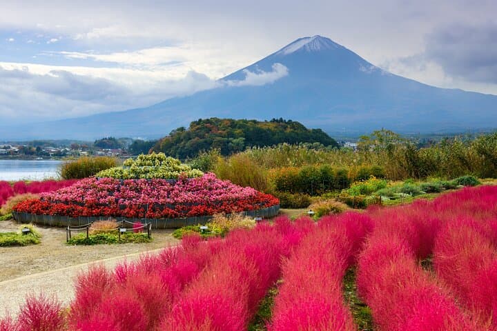 Private Day Trip to Mount Fuji & Fuji Five Lakes from Tokyo — Kawaguchiko Cruise & Chureito Pagoda Views