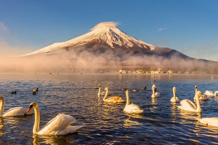 Private Day Trip to Mount Fuji & Fuji Five Lakes from Tokyo — Kawaguchiko Cruise & Chureito Pagoda Views photo 3
