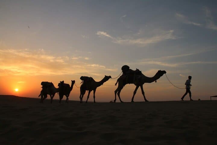 Sunset Desert Safari in Jaisalmer: Jeep, Camel Ride & Starry Dinner
