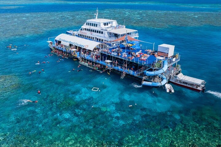 Sunlover Moore Reef Pontoon: Cairns Great Barrier Reef Cruise & Snorkel Experience