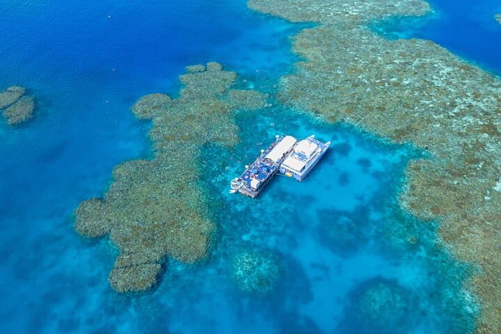 Sunlover Moore Reef Pontoon: Cairns Great Barrier Reef Cruise & Snorkel Experience photo 2