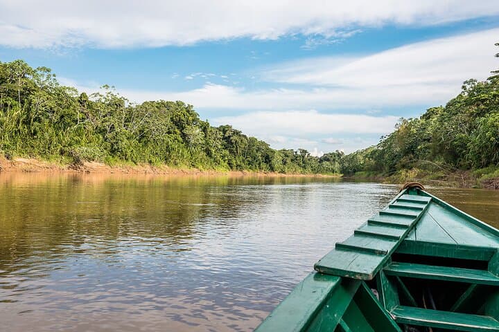 4-Day Manu National Park Jungle Expedition from Cusco photo 3