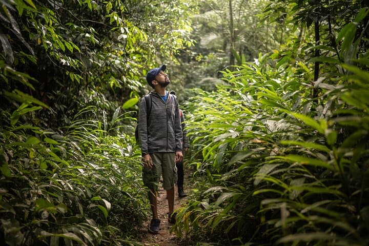 4-Day Manu National Park Jungle Expedition from Cusco photo 2