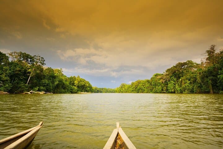 4-Day Manu National Park Jungle Expedition from Cusco photo 4