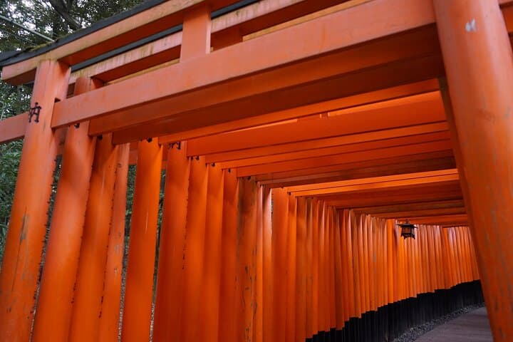 Morning Walking Tour: Fushimi Inari Gates to Tofukuji Zen Garden (Kyoto)
