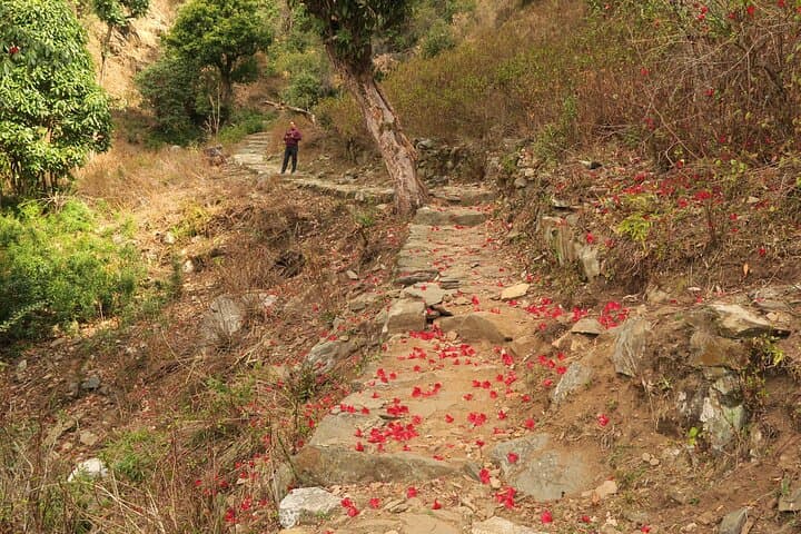 Mahavatar Babaji Cave: 3-Day Spiritual Tour from Rishikesh — Devprayag, Dunagiri & Dhari Devi photo 6