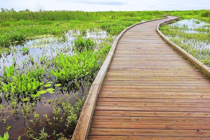 Creole Nature Trail Self-Guided Audio Driving Tour — Gulf Coast Wetlands & Wildlife photo 2