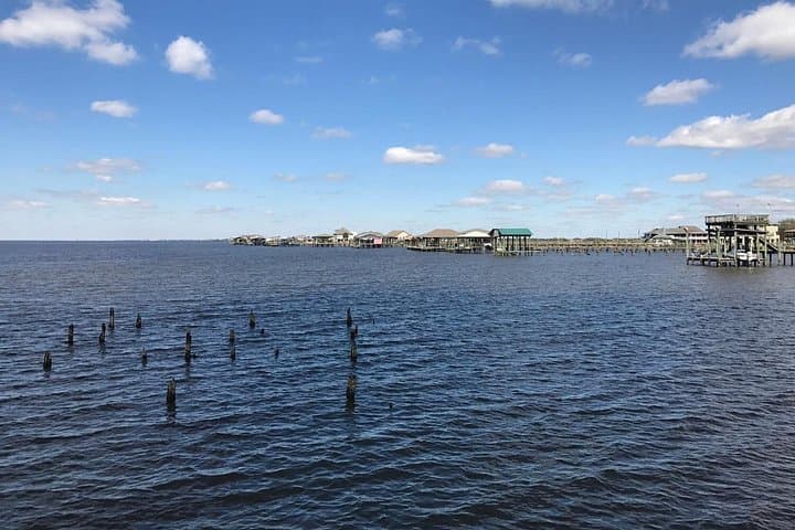 Creole Nature Trail Self-Guided Audio Driving Tour — Gulf Coast Wetlands & Wildlife photo 4