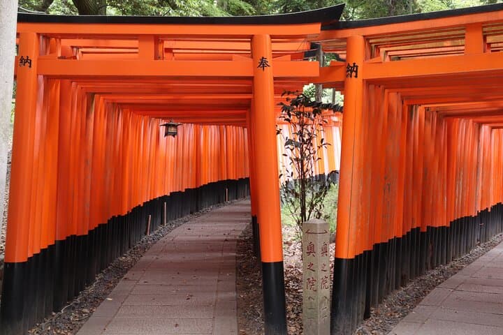 Morning Walking Tour: Fushimi Inari Gates to Tofukuji Zen Garden (Kyoto) photo 4