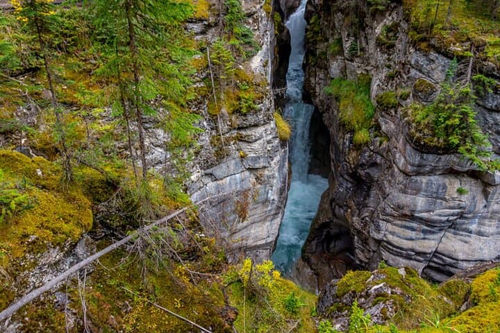 Self-Guided Audio Driving Tour of Jasper National Park — SkyTram, Maligne & Miette photo 3