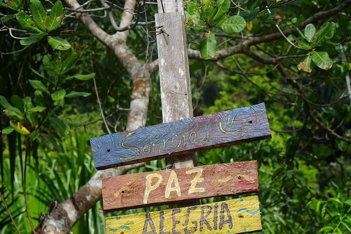 3-Day Extended Ayahuasca Retreat in the Sacred Valley, Cusco photo 5