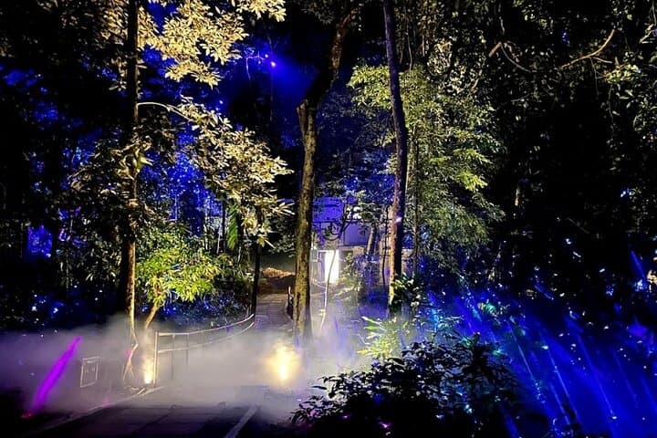 Legends of Langkawi: Dream Forest Night Walk — Immersive Rainforest Night Trail photo 3