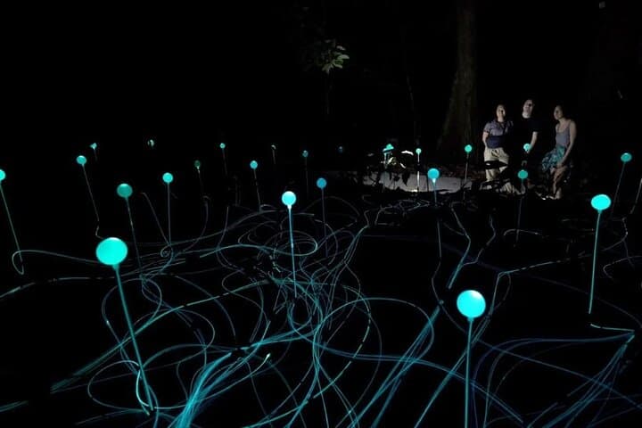 Legends of Langkawi: Dream Forest Night Walk — Immersive Rainforest Night Trail photo 5