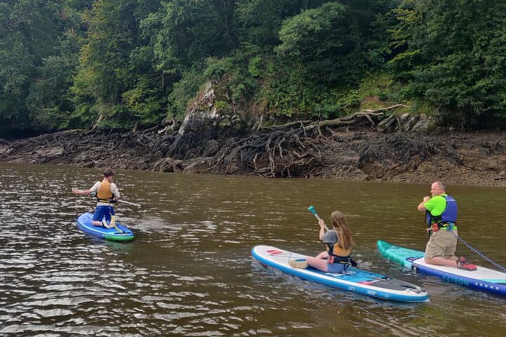 Half-Day Stand-Up Paddleboarding on the River Dart from Totnes photo 2