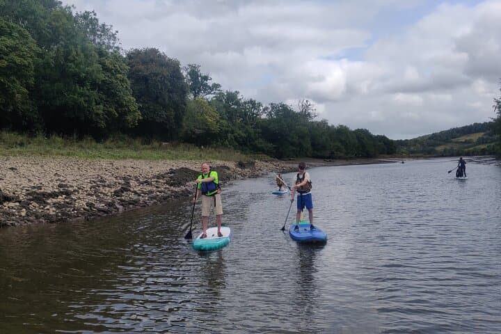 Half-Day Stand-Up Paddleboarding on the River Dart from Totnes photo 4