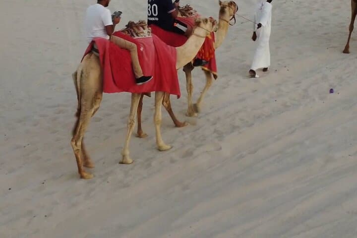 Doha Desert Combo: Private Quad Bike, Horse Ride & Camel Experience