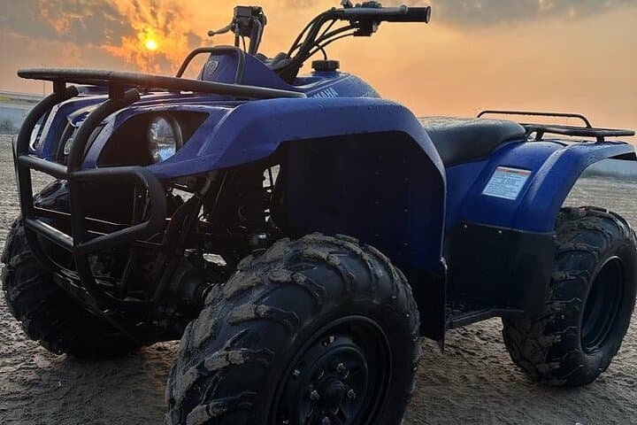 Doha Desert Combo: Private Quad Bike, Horse Ride & Camel Experience photo 5