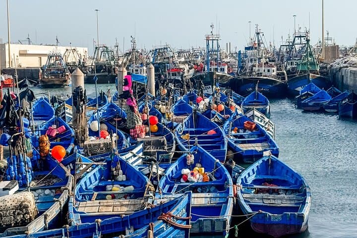 Essaouira Day Trip from Marrakech: Coastal Charm, Argan Forests & Medina photo 2