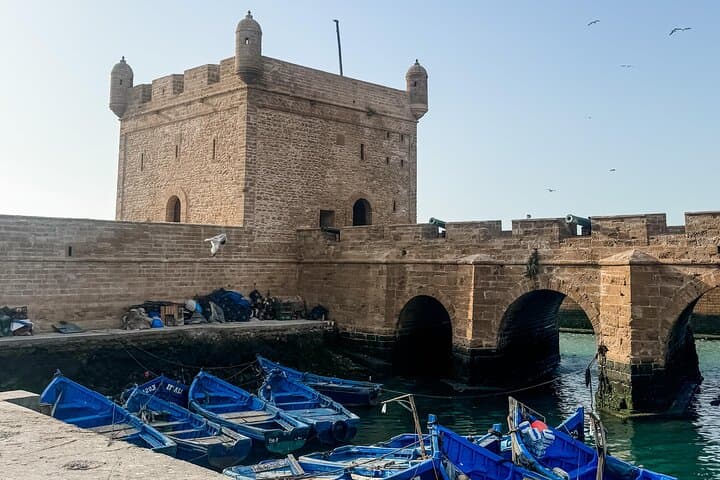 Essaouira Day Trip from Marrakech: Coastal Charm, Argan Forests & Medina photo 4