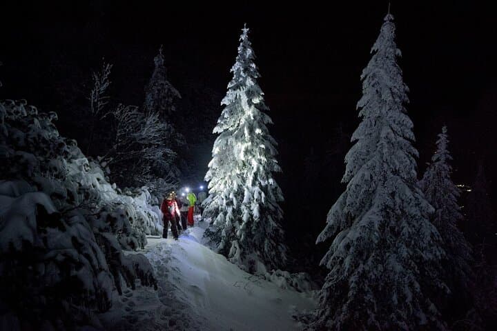 Night Snowshoeing Rovaniemi: Northern Lights & Lappish Campfire Experience photo 4