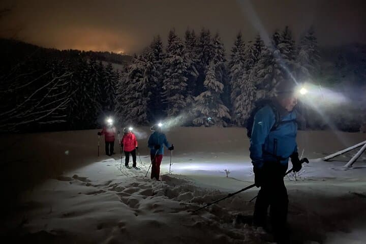 Night Snowshoeing Rovaniemi: Northern Lights & Lappish Campfire Experience photo 2