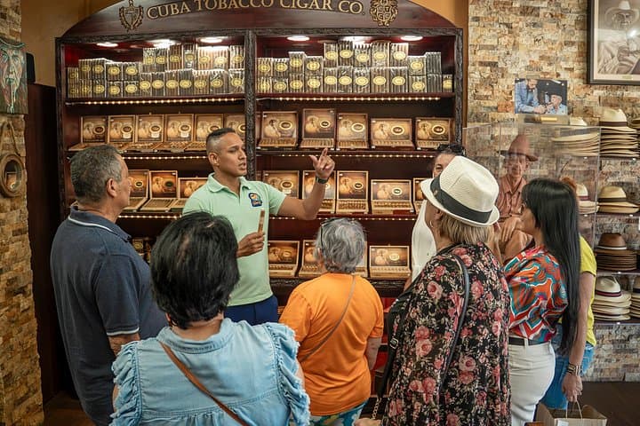 Miami in 3.5 Hours: Small-Group Sightseeing, Culture & Photography Tour photo 1