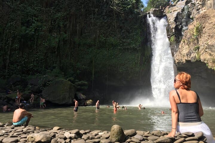 Yin and Yang Waterfalls Private Tour from Ubud