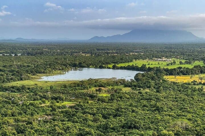 Pidurangala Rock and Dambulla Day Tour from Kandy: Hike, History & Sunset Views photo 2
