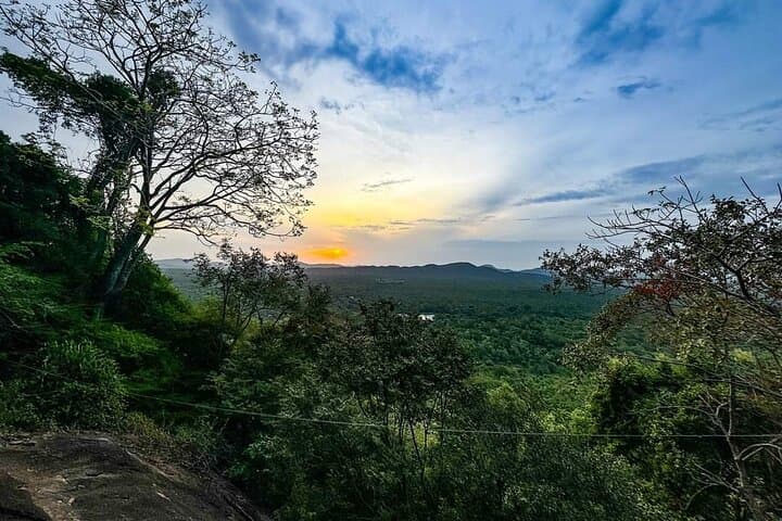 Pidurangala Rock and Dambulla Day Tour from Kandy: Hike, History & Sunset Views photo 4