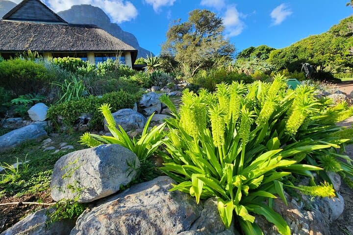 cape-town-table-mountain-kirstenbosch-and-world-of-birds-private-tour photo 4