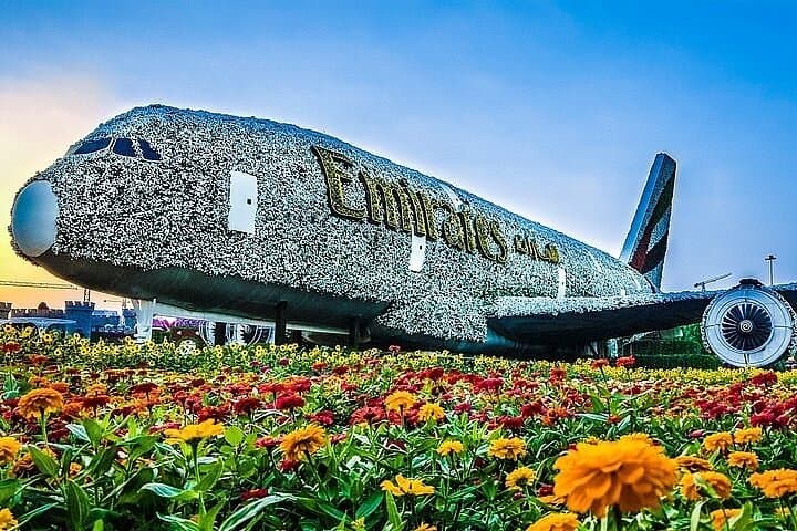 Dubai Miracle Garden: Guide to Visiting the World's Largest Natural Flower Garden