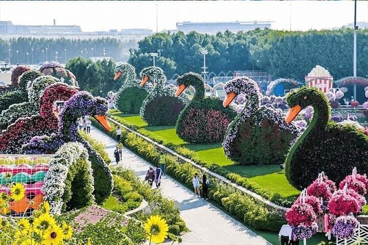 Dubai Miracle Garden: Guide to Visiting the World's Largest Natural Flower Garden photo 3
