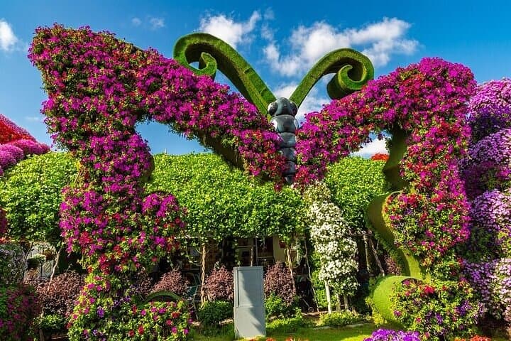 Dubai Miracle Garden: Guide to Visiting the World's Largest Natural Flower Garden photo 6