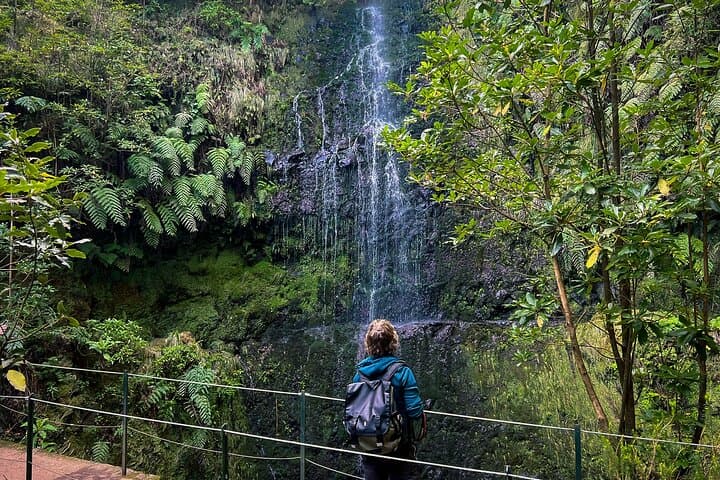 Caldeirão Verde Levada Guided Walk — PR9 Laurissilva Hike from Queimadas photo 3