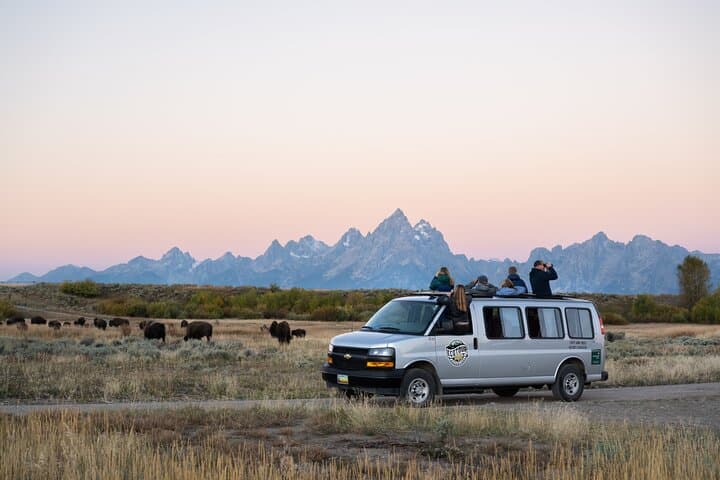 Sunset Grand Teton Wildlife Safari from Jackson — 4-Hour Guided Tour photo 2