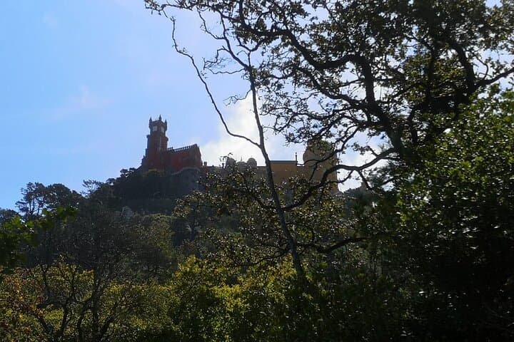 Sintra Mountain 1-Hour Private Tour: Pena Palace & Moorish Castle Views photo 6