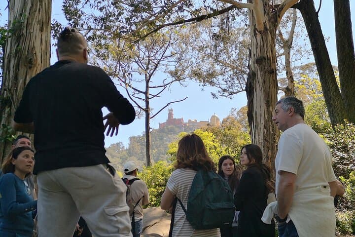 Sintra Mountain 1-Hour Private Tour: Pena Palace & Moorish Castle Views photo 5