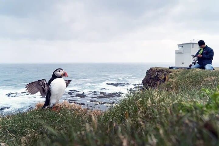 8-Day Westfjords Adventure: Cliffs, Waterfalls & Coastal Culture