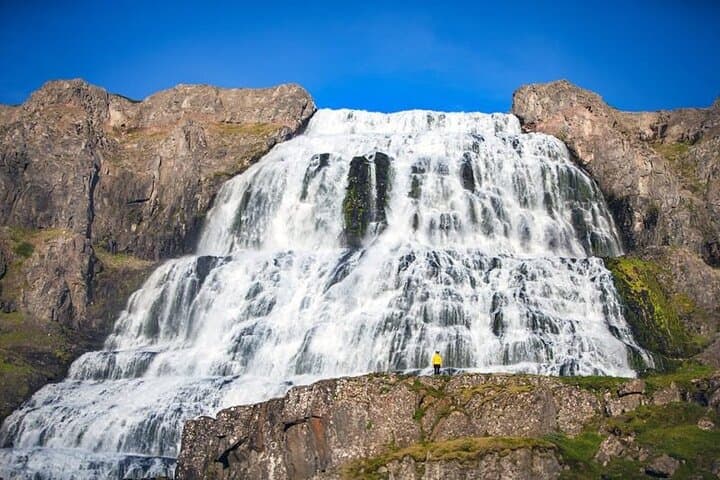 Chasing the Northern Lights: 7-Day Westfjords Secrets Tour photo 2