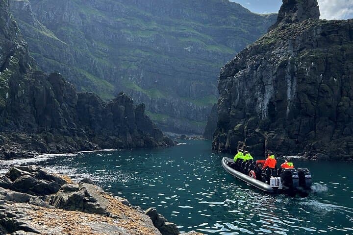 East Iceland RIB Wildlife Safari: 1-Hour Puffin, Seal & Whale Boat Tour