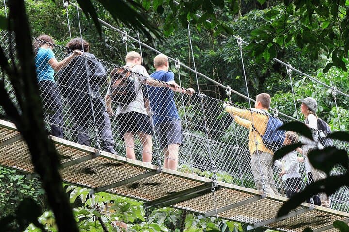 Canopy Crossing: Guided Hanging Bridges Tour in La Fortuna photo 3