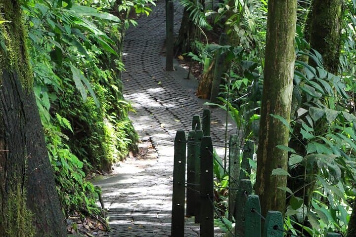 Canopy Crossing: Guided Hanging Bridges Tour in La Fortuna photo 5