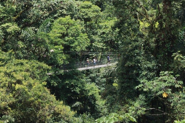 Canopy Crossing: Guided Hanging Bridges Tour in La Fortuna photo 6