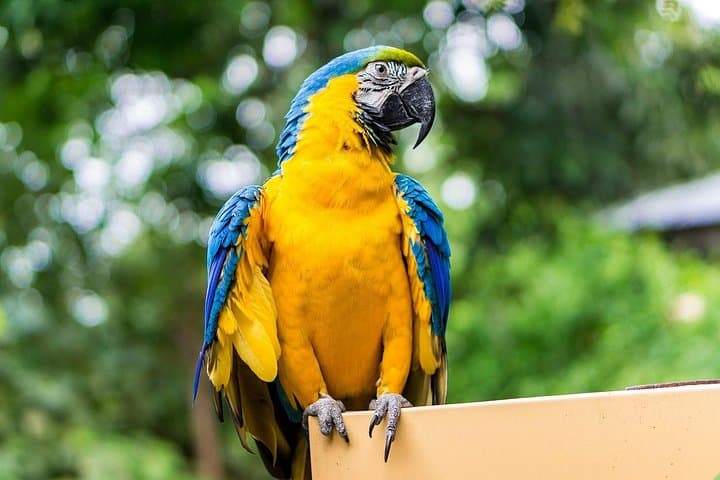 Andes to Amazon: 8-Day Ecuador Adventure from Quito to the Jungle photo 5